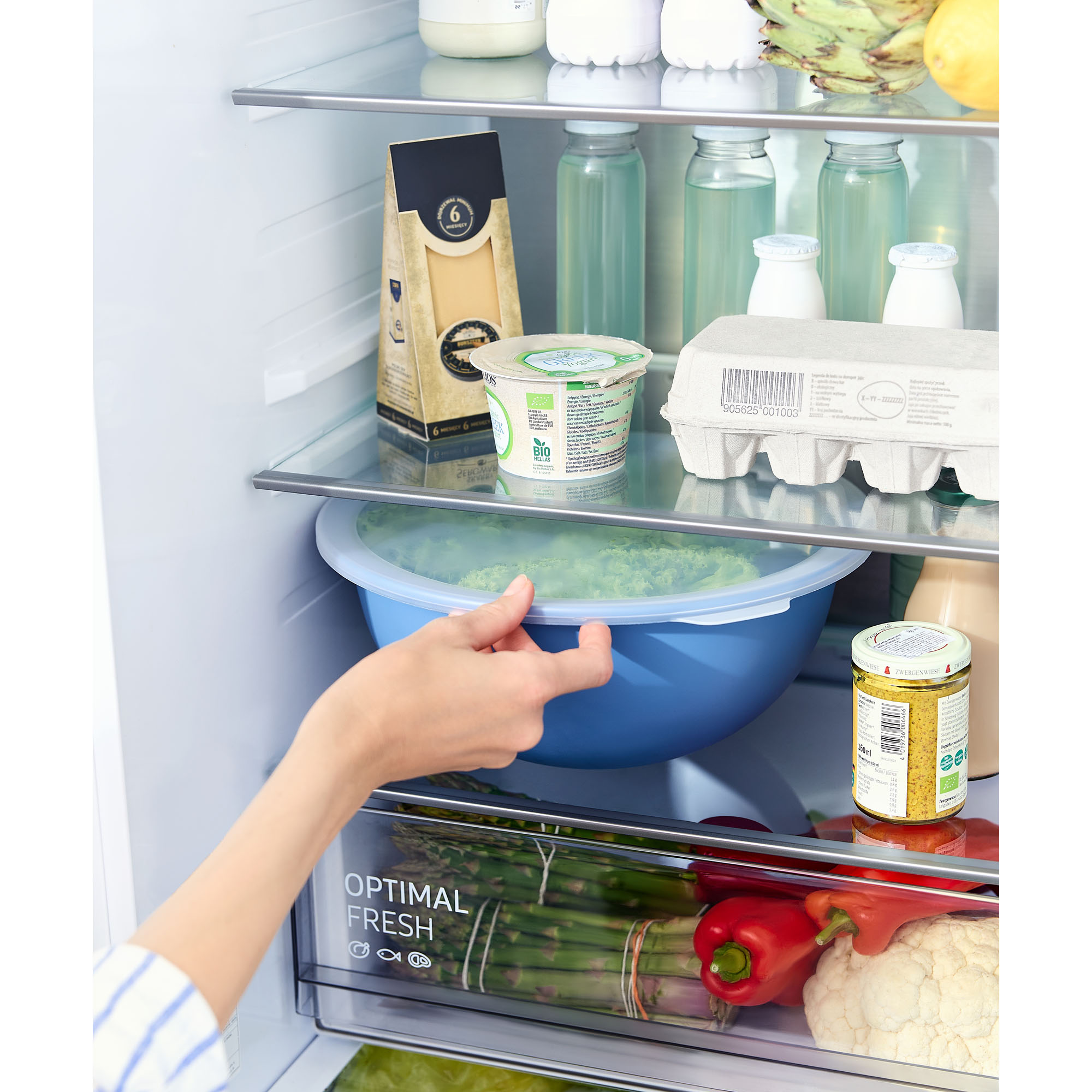 Hand hält eine blaue Rührschüssel mit transparentem Deckel in einem Kühlschrank