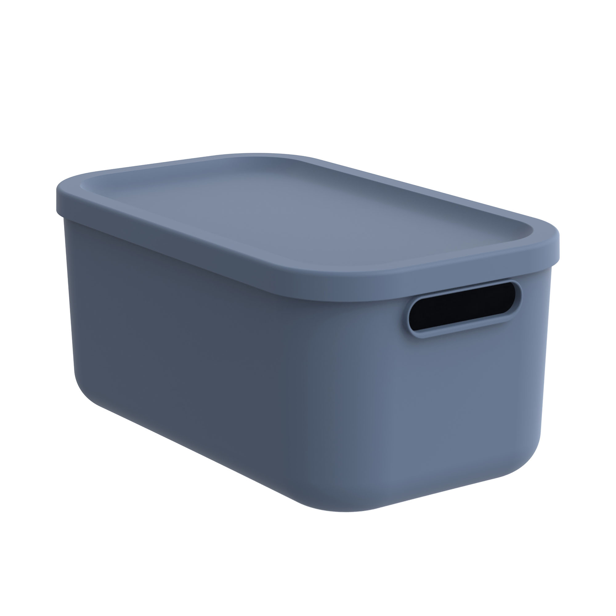 Blaue rechteckige Aufbewahrungsbox aus Kunststoff mit Deckel und Grifföffnung