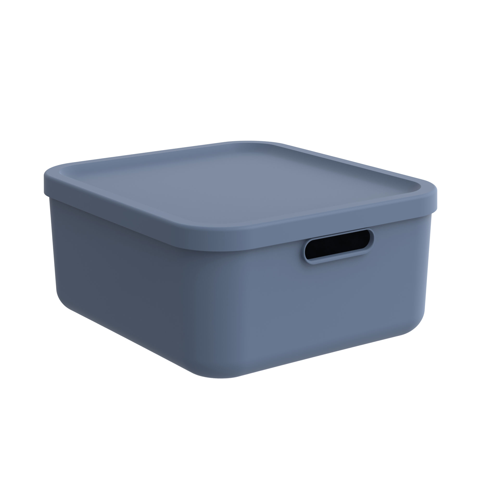Blaue rechteckige Aufbewahrungsbox aus Kunststoff mit Deckel und Grifföffnung