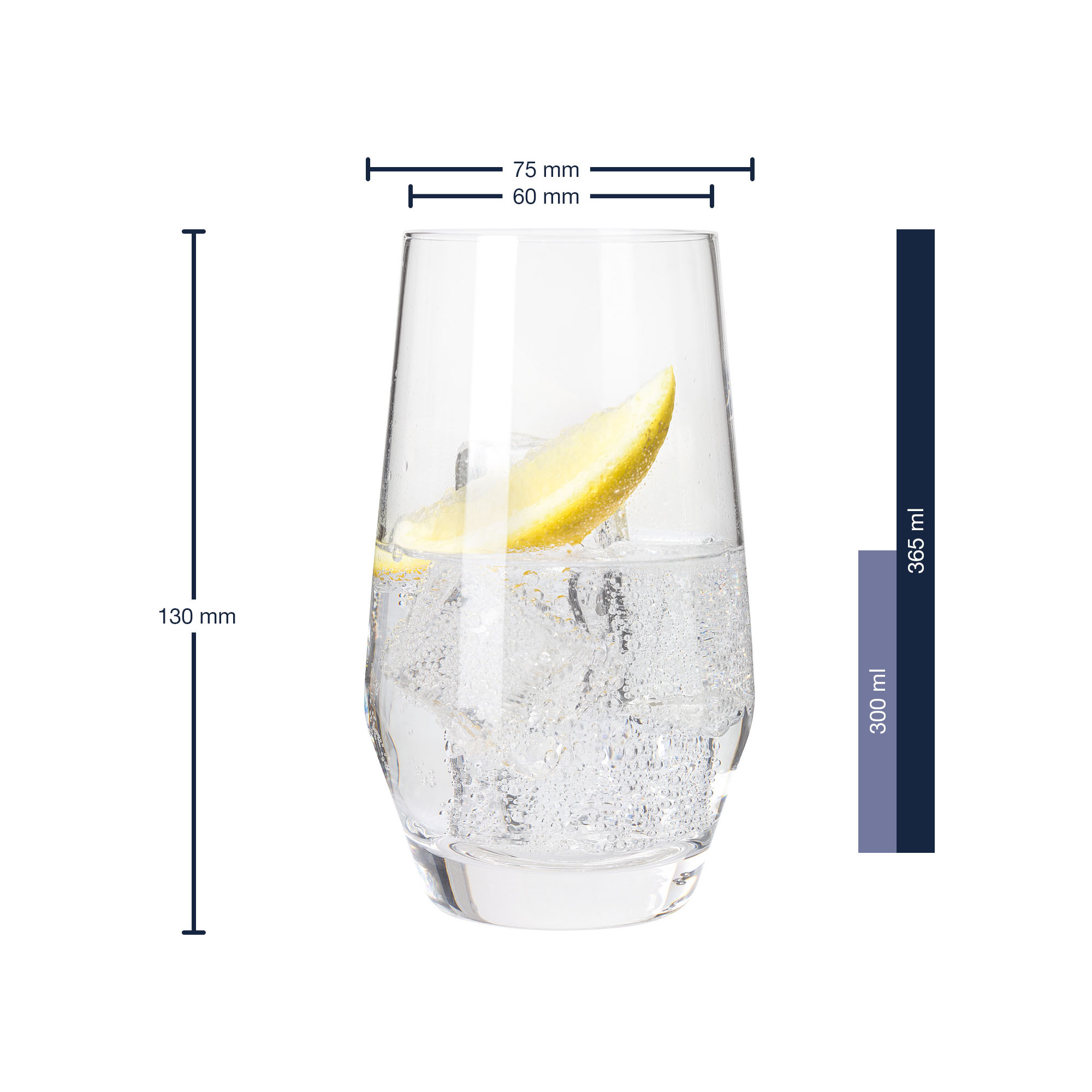 Longdrinkglas mit Maßangaben Höhe 130 mm und Volumen bis 365 ml