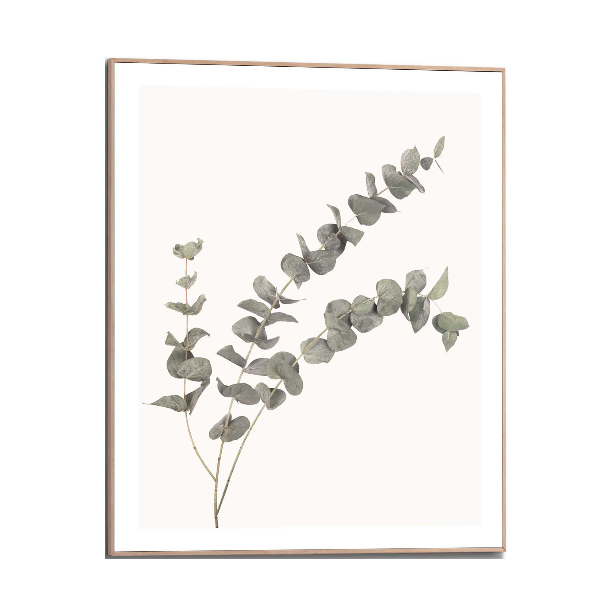 Frontansicht des Wandbilds „Eucalyptus“ in Grün, Größe 40 × 50 cm; das vollständige Motiv ist zu sehen.