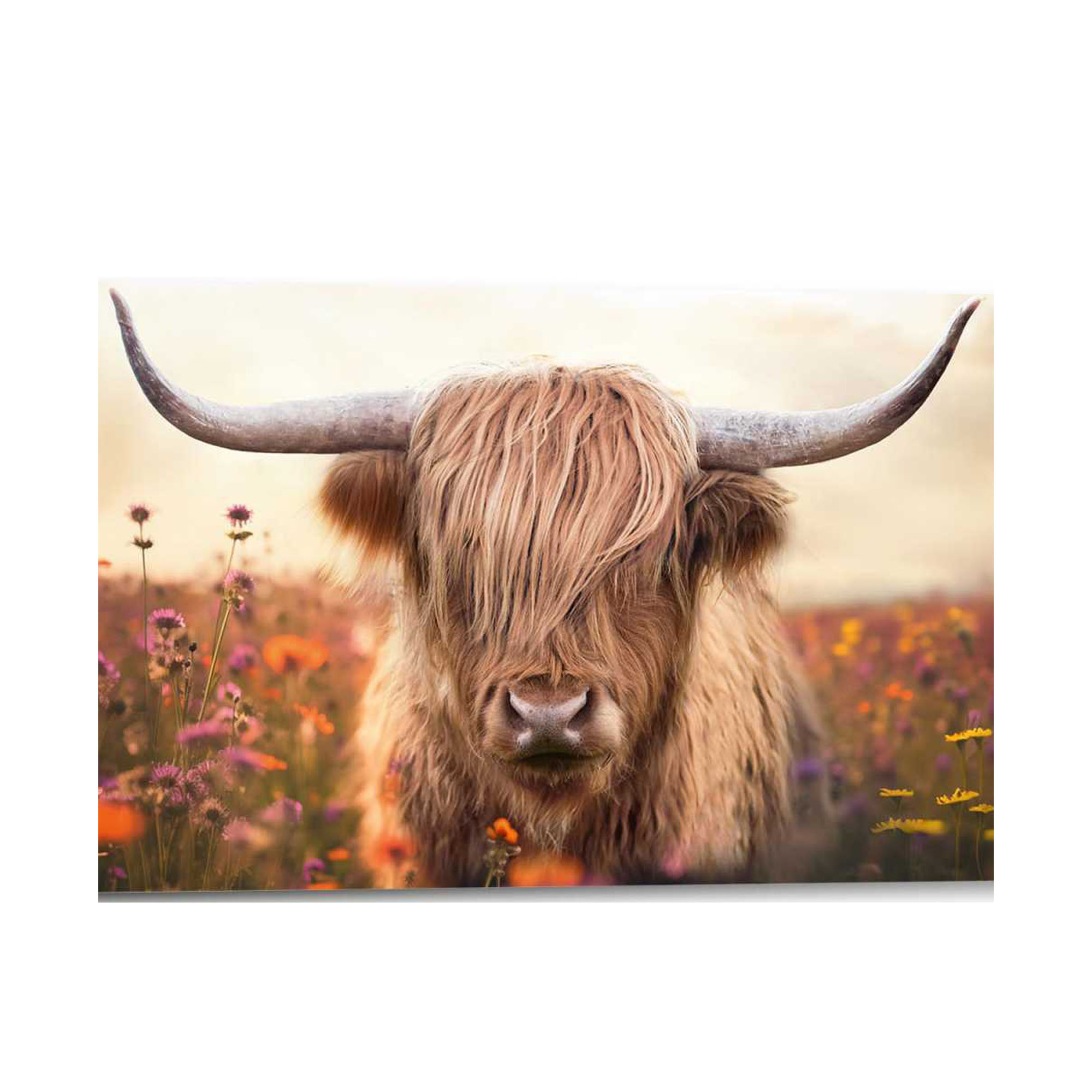 Frontansicht des Wandbilds „Spring Highlander“ in Braun, Größe 30 × 90 cm; das vollständige Motiv ist zu sehen.