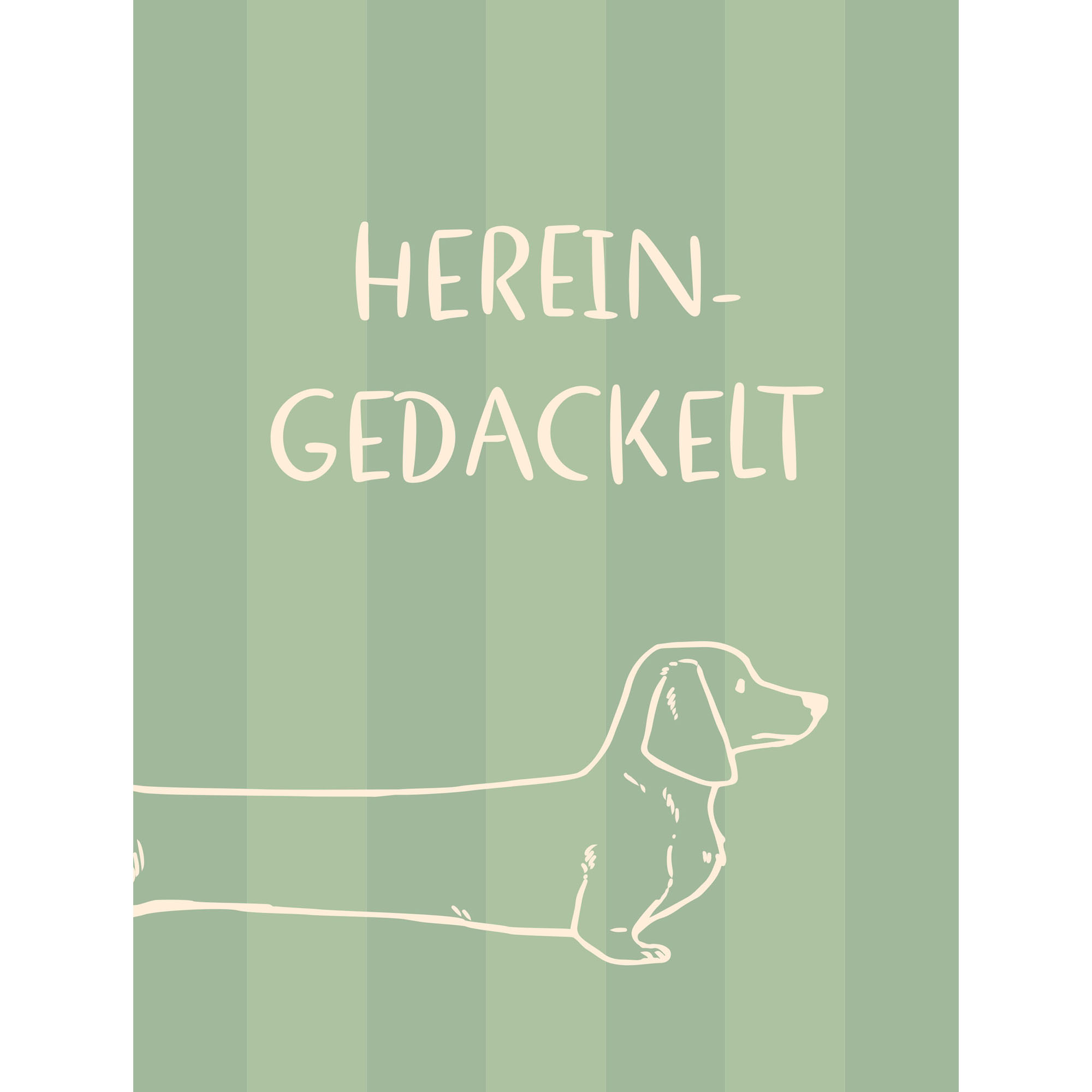 Grünes Dekoschild mit weißem Schriftzug Herein Gedackelt und gezeichnetem Dackel vor gestreiftem Hintergrund