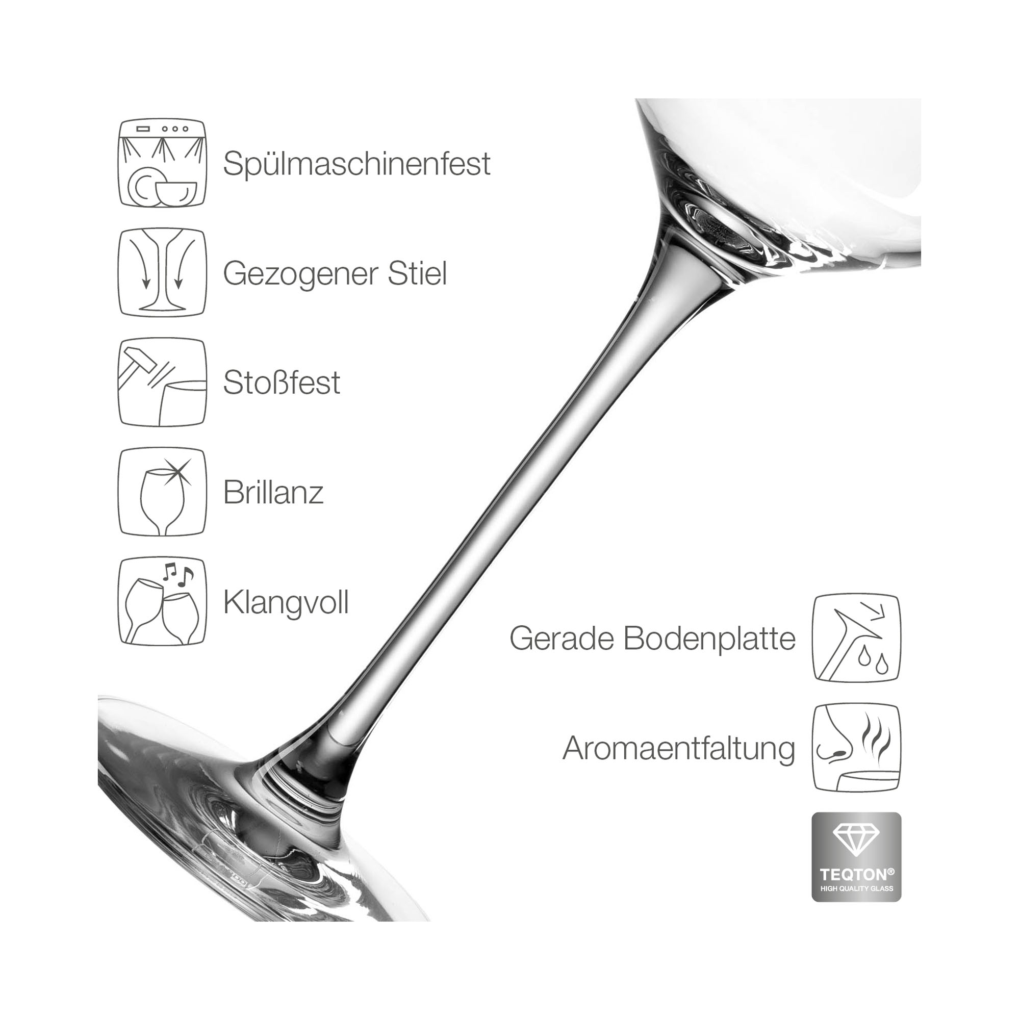Detailbild Sektglas mit Symbolen für Spülmaschinenfestigkeit Brillanz und Stabilität