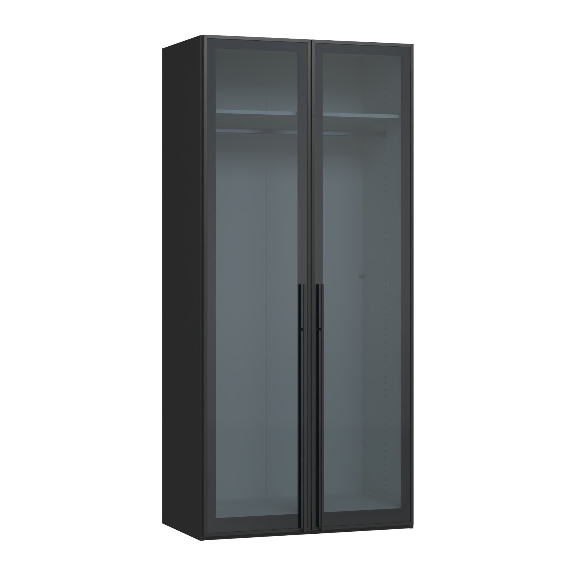 Drehtürenschrank mit zwei geschlossenen Glasfronten und dunklem Korpus