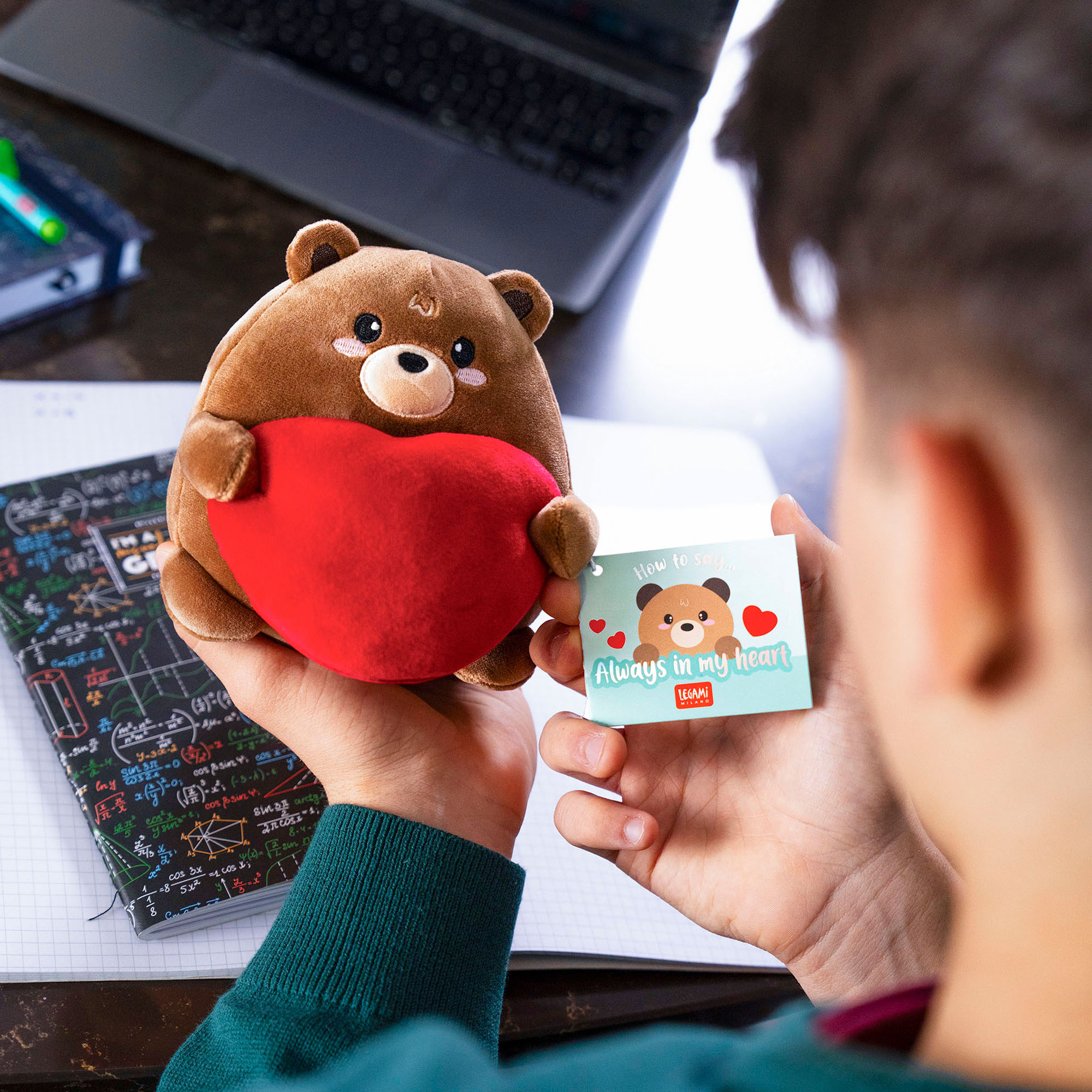Braunes Teddybär-Plüschtier mit rotem Herz, von einer Person am Laptop vor das Gesicht gehalten gezeigt.
