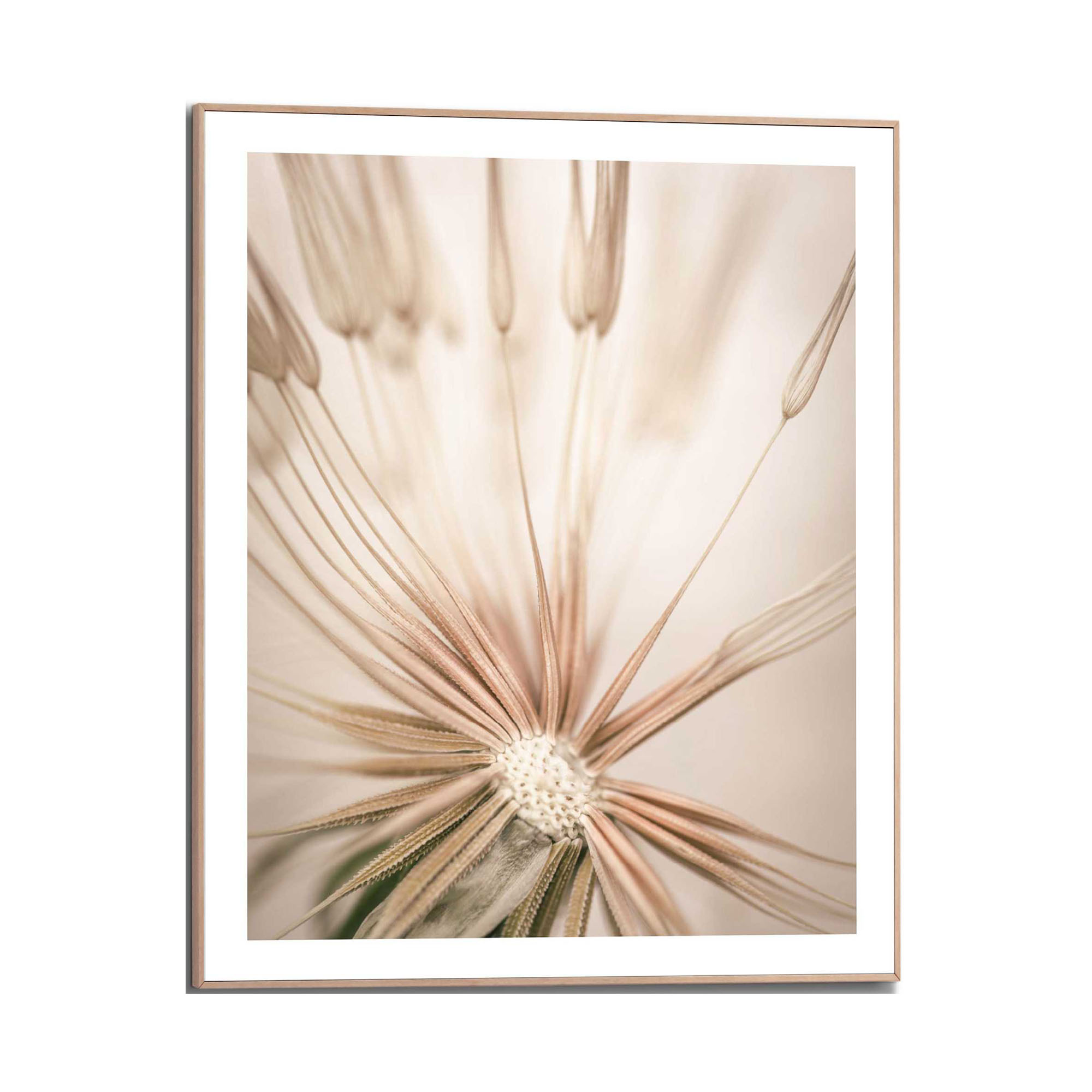 Frontansicht des Wandbilds „Dandelion Heart“ in Beige, Größe 40 × 50 cm; das vollständige Motiv ist zu sehen.