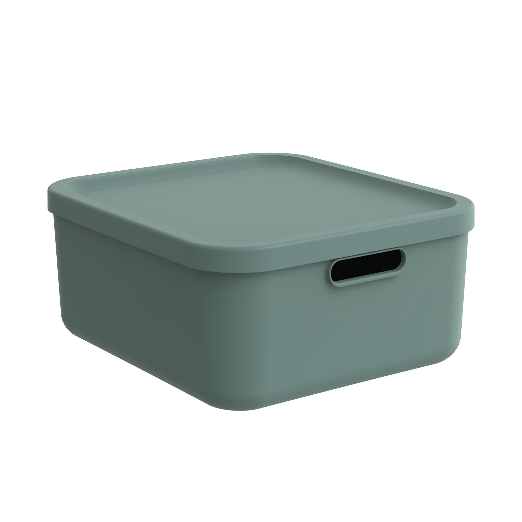 Grüne rechteckige Aufbewahrungsbox aus Kunststoff mit Deckel und Grifföffnung
