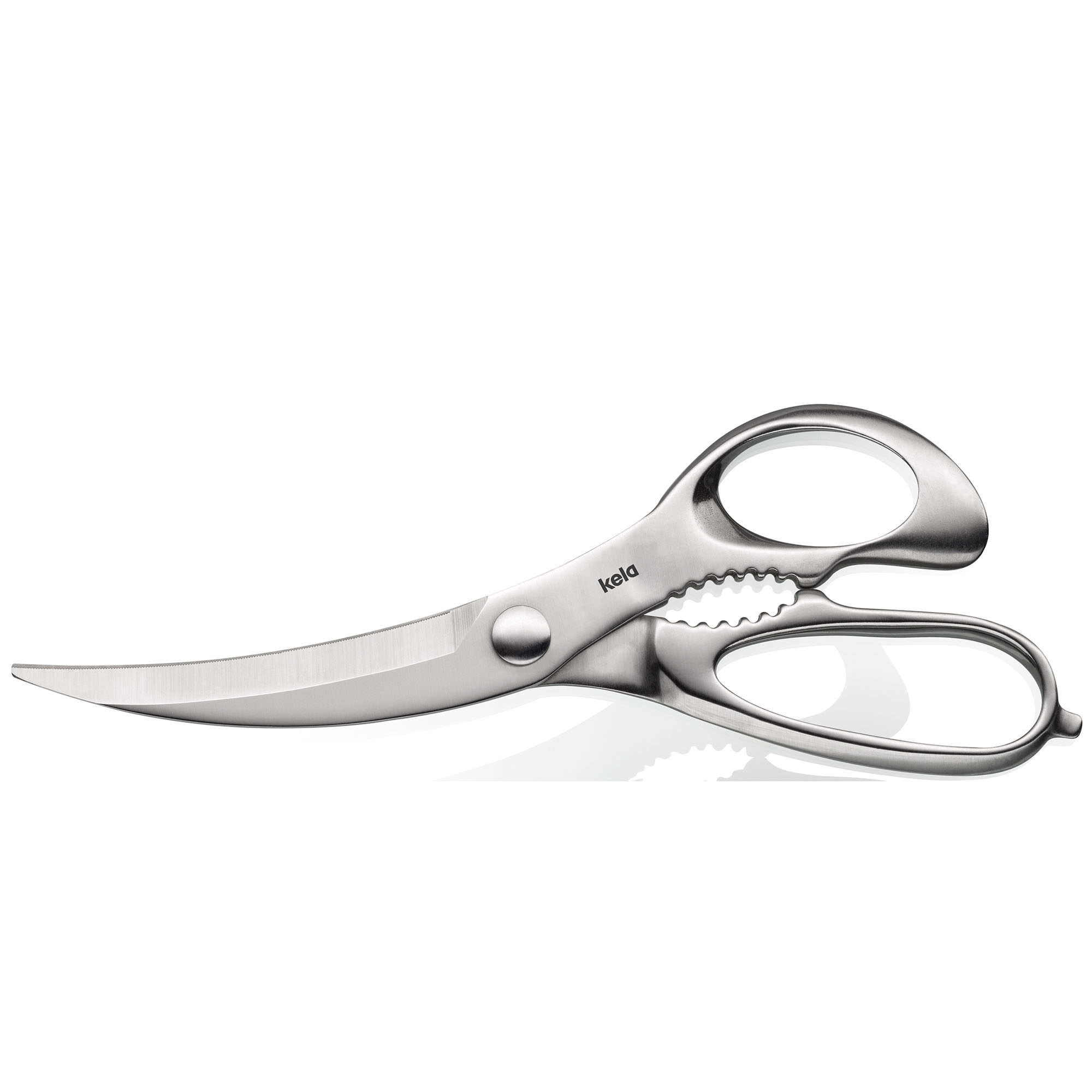 Silbermatte Geflügelschere aus Metall mit gebogener Klinge und zwei Grifföffnungen auf weißem Hintergrund