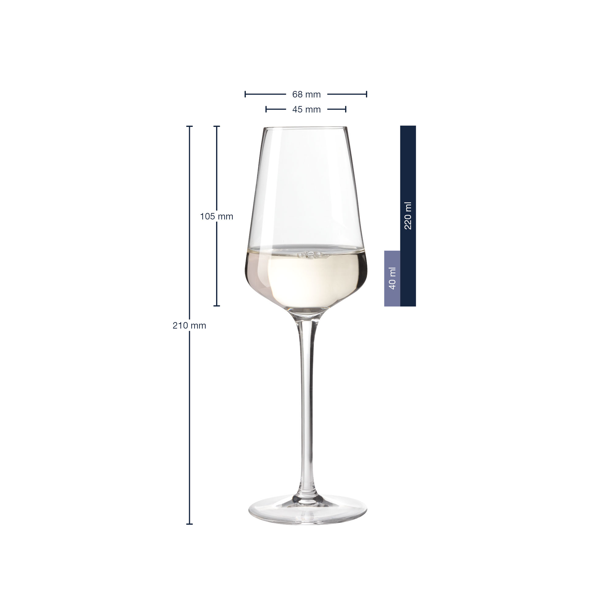 Weißweinglas mit Maßangaben Höhe 210 mm und Volumen bis 220 ml