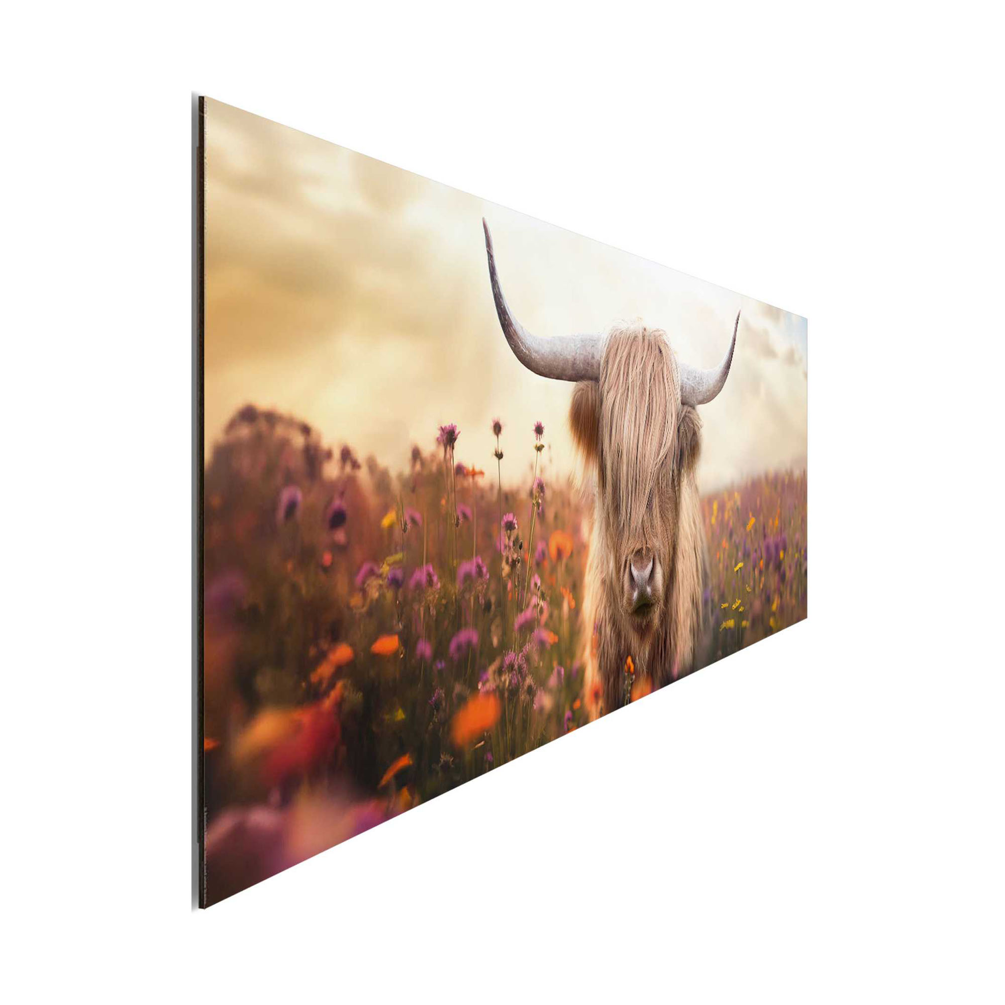 Seitliche Schrägansicht des Wandbilds „Spring Highlander“, 30 × 90 cm; Profil, Kante und Tiefe des Bildes sind erkennbar.
