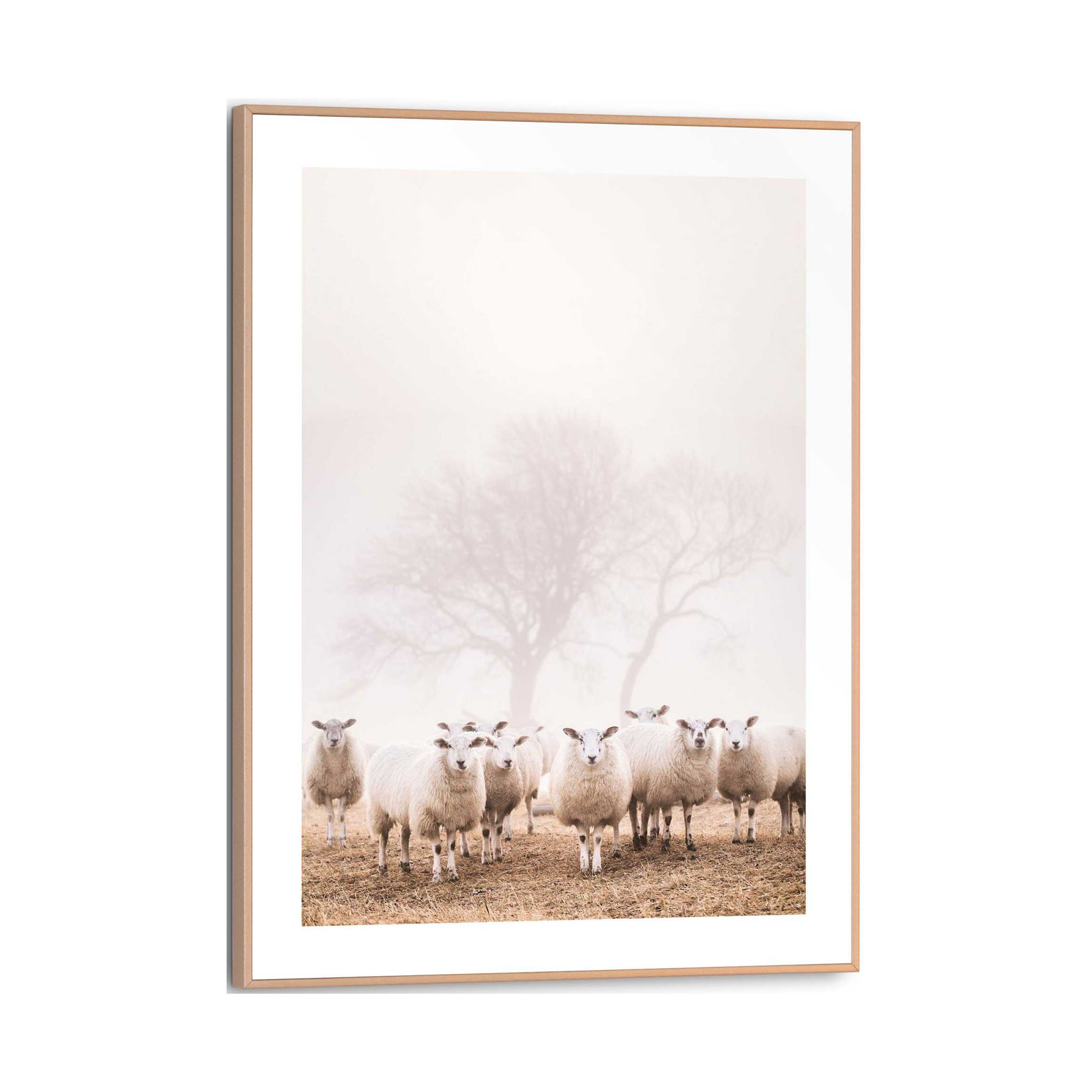Frontansicht des Wandbilds „Sheep in Field“ in Beige, Größe 30 × 40 cm; das vollständige Motiv ist zu sehen.