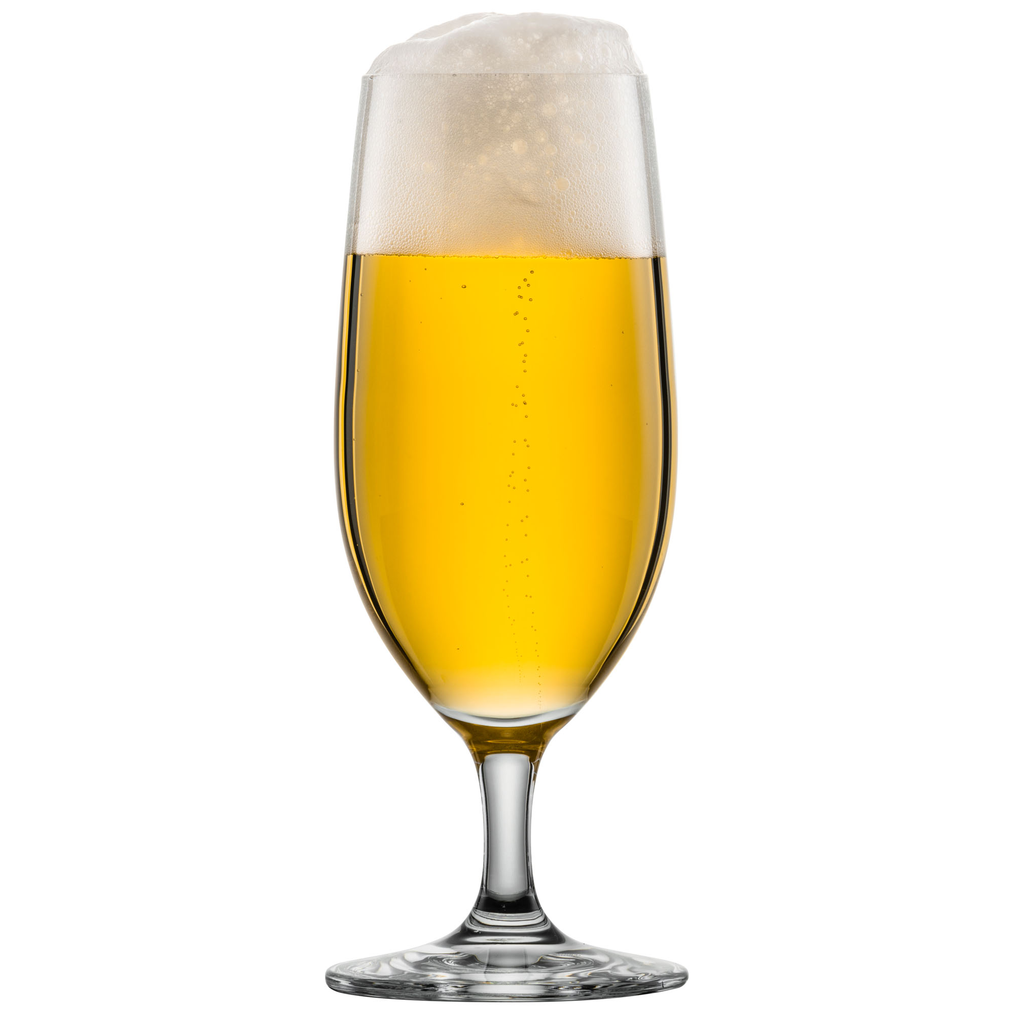 Biertulpe