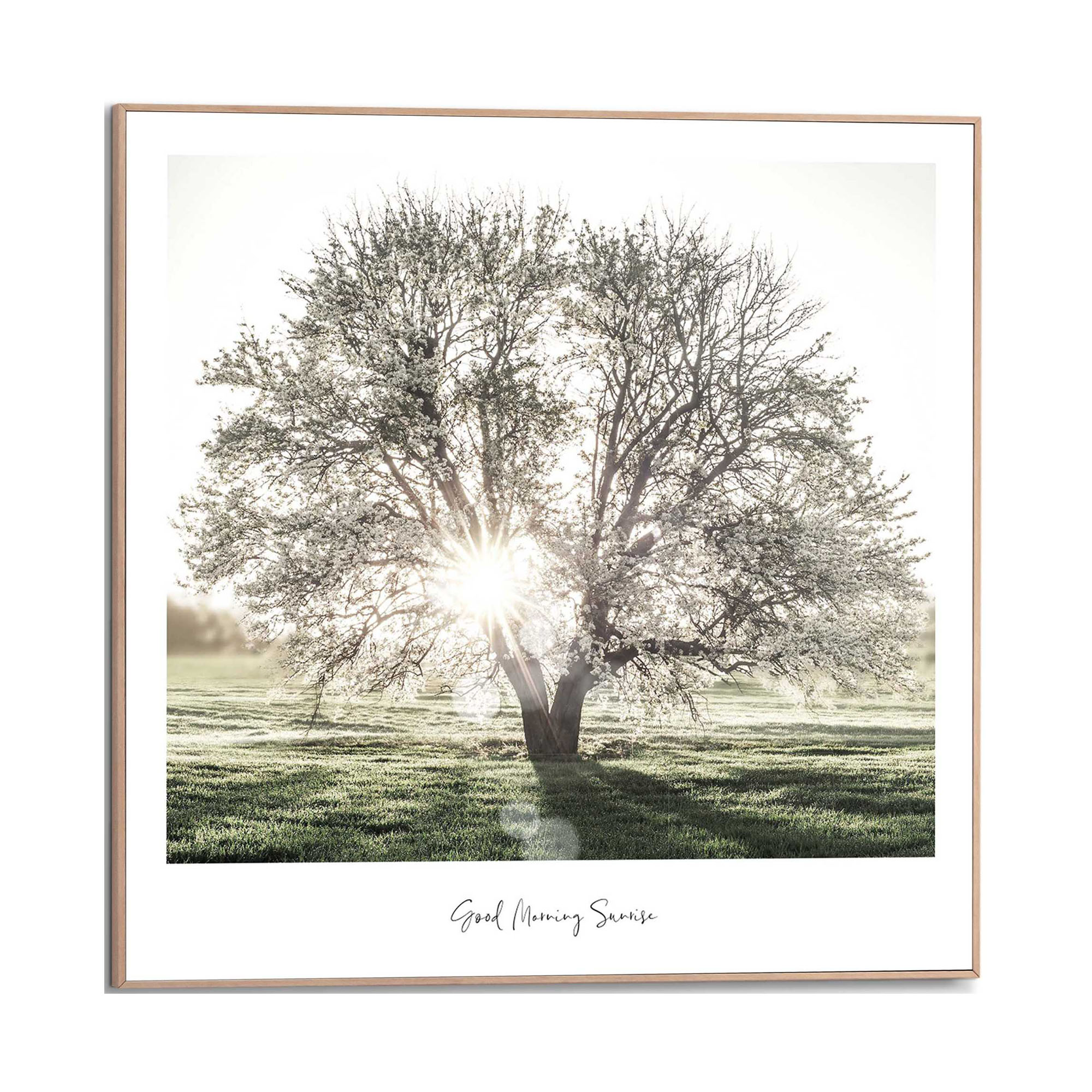 Frontansicht des Wandbilds „Sunbeam Tree“ in Grün, Größe 50 × 50 cm; das vollständige Motiv ist zu sehen.