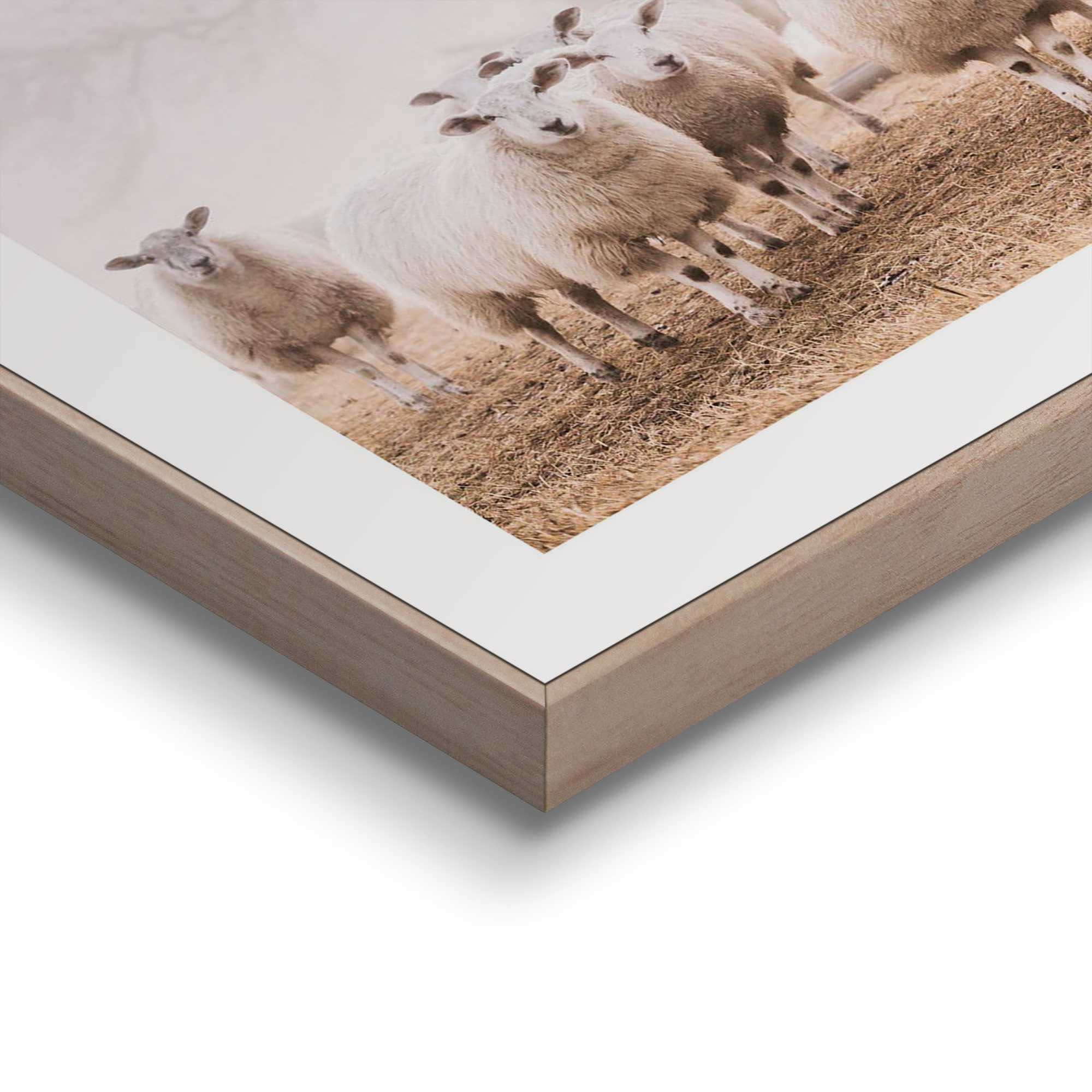Detailaufnahme einer Ecke des Wandbilds „Sheep in Field“, 30 × 40 cm; Oberfläche, Kante und Materialstärke sind sichtbar.