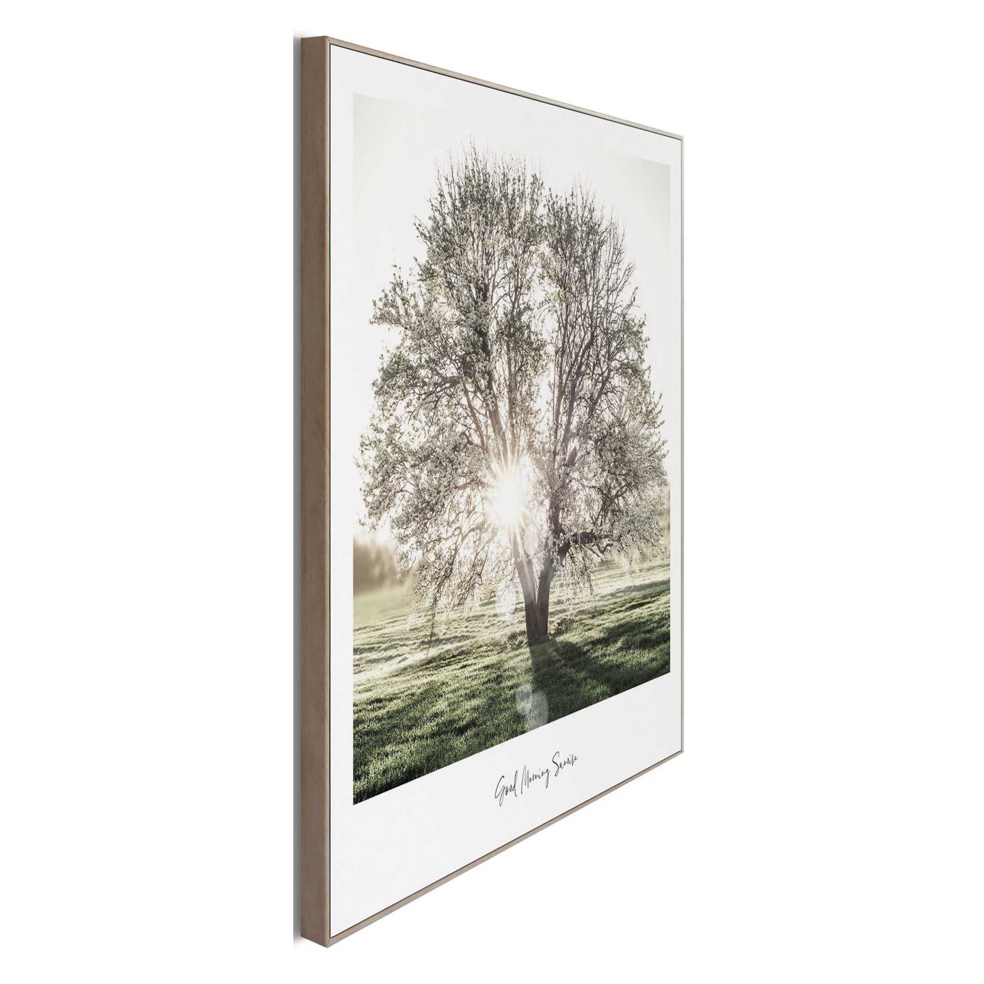 Seitliche Schrägansicht des Wandbilds „Sunbeam Tree“, 50 × 50 cm; Profil, Kante und Tiefe des Bildes sind erkennbar.