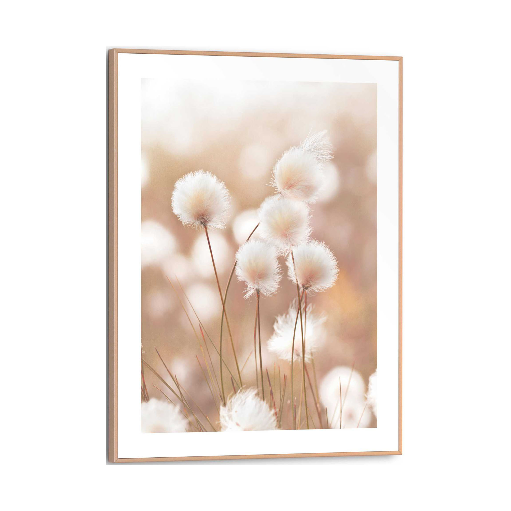 Frontansicht des Wandbilds „Cotton Pops“ in Beige, Größe 30 × 40 cm; das vollständige Motiv ist zu sehen.