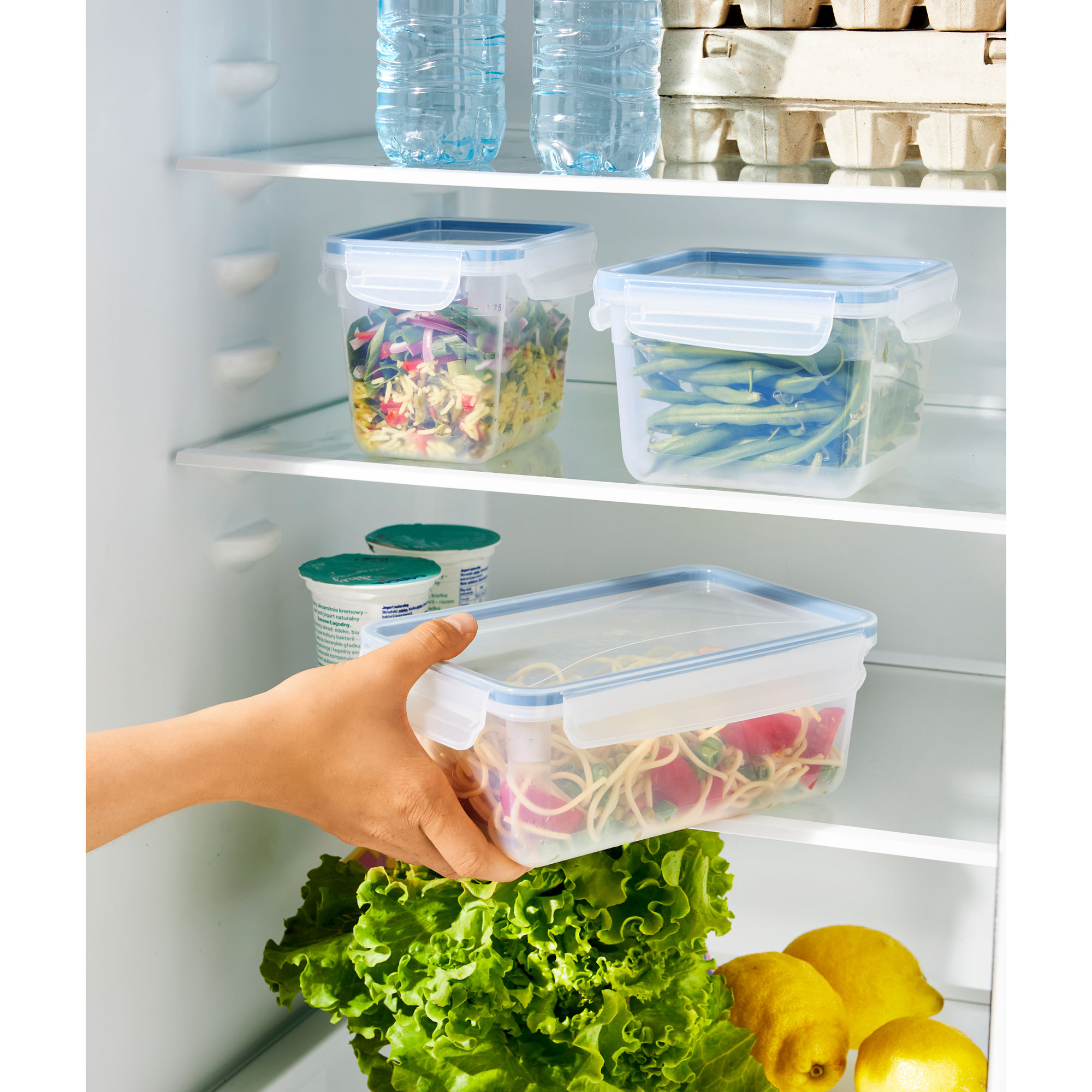 Mehrere transparente Frischhaltedosen mit Lebensmitteln in einem geöffneten Kühlschrank, eine Dose wird herausgenommen
