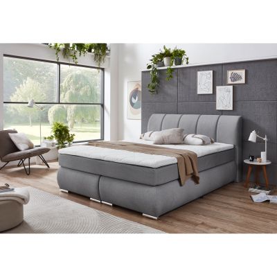 Graues Polsterbett mit gepolstertem Kopfteil in einem Schlafzimmer mit großer Fensterfront, Pflanzen und Wandbildern