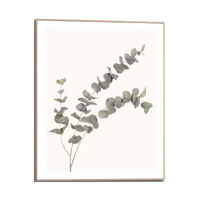Frontansicht des Wandbilds „Eucalyptus“ in Grün, Größe 40 × 50 cm; das vollständige Motiv ist zu sehen.