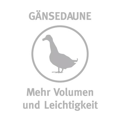 Daunen- und Federn-Kissen 80x80 cm - weiß
