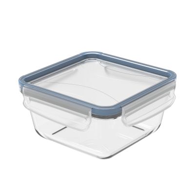 Quadratische transparente Frischhaltedose mit Deckel und blauem Dichtungsring