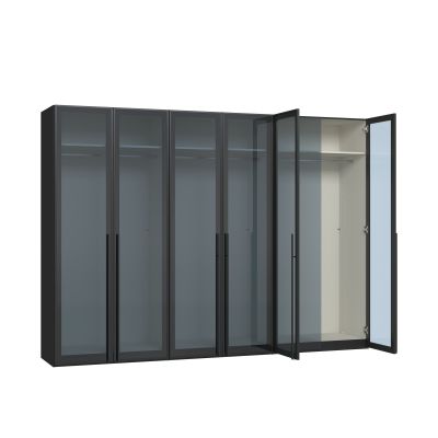 Drehtürenschrank mit teilweise geöffneten Glastüren und sichtbarem Innenraum