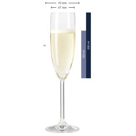 Sektglas mit eingezeichneten Maßen und Füllmengenangaben