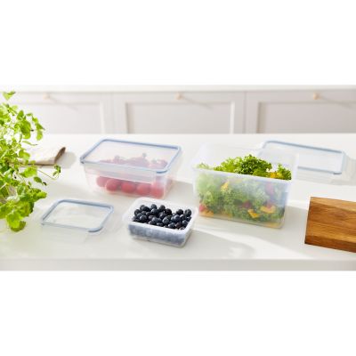 Transparente Frischhaltedosen mit Obst und Beeren auf einer Küchenarbeitsfläche