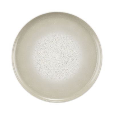 Teller in Grau-Beige. Sichtbare Merkmale: rund mit dicht gesprenkelter Oberfläche. Darstellung: Draufsicht.