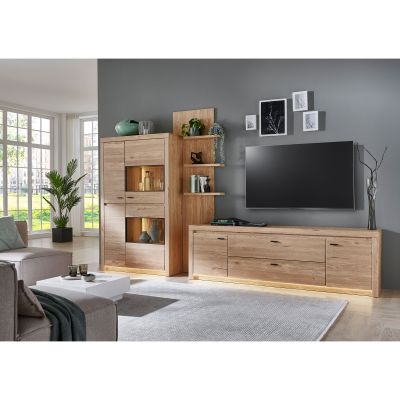 Wohnkombination mit Regal Schrankelement TV-Lowboard und Fernseher in einem modern eingerichteten Wohnzimmer
