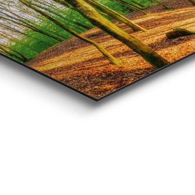 Detailaufnahme einer Ecke des Wandbilds „Spring Woods“, 30 × 90 cm; Oberfläche, Kante und Materialstärke sind sichtbar.