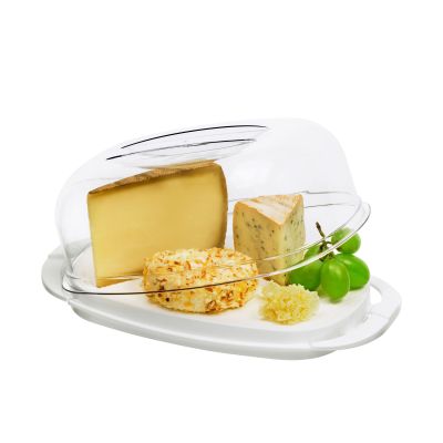 Transparente Kuchenhaube auf einem Unterteller mit einem Stück Käse und weiteren Lebensmitteln darunter oder daneben