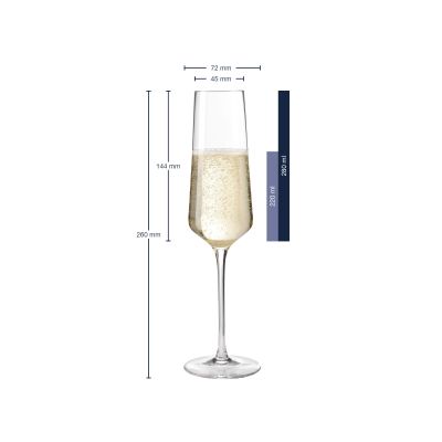 Sektglas mit Maßangaben Höhe 260 mm und Füllvolumen bis 280 ml