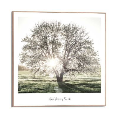 Frontansicht des Wandbilds „Sunbeam Tree“ in Grün, Größe 50 × 50 cm; das vollständige Motiv ist zu sehen.