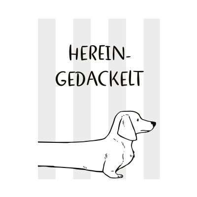 Schwarz-weißes Dekobild mit Schriftzug Herein Gedackelt und gezeichnetem Dackel vor gestreiftem Hintergrund