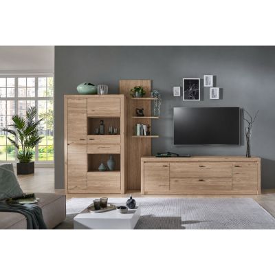 Wohnkombination mit Regal Schrankelement TV-Lowboard und Fernseher in einem modern eingerichteten Wohnzimmer1
