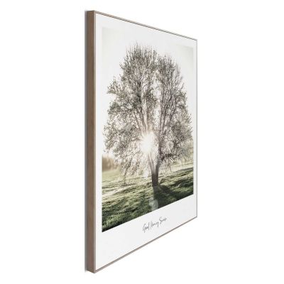 Seitliche Schrägansicht des Wandbilds „Sunbeam Tree“, 50 × 50 cm; Profil, Kante und Tiefe des Bildes sind erkennbar.