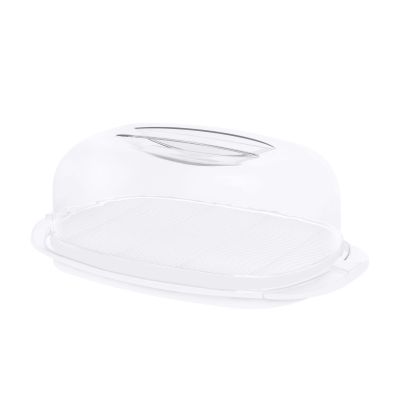Transparente Kuchenhaube mit Griff auf einem weißen Unterteller