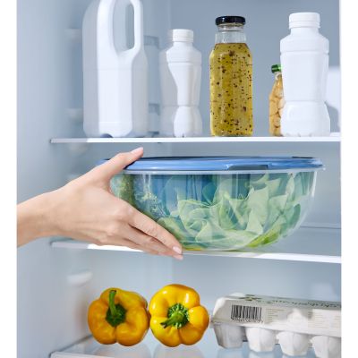 Transparente Rührschüssel mit blauem Deckel und Salat auf einer Kühlschrankablage