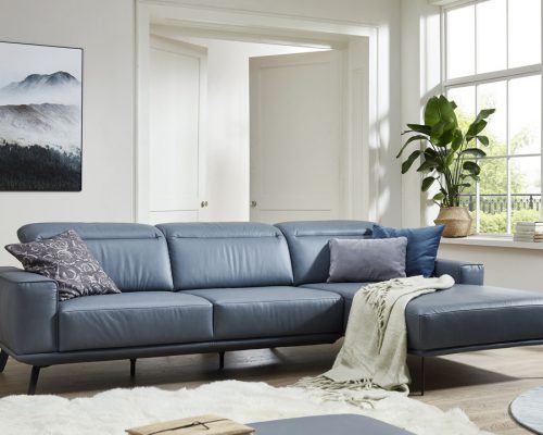 Modernes Wohnzimmer mit einem blauen Sofa, Zierkissen, einer Überwurfdecke, einer Topfpflanze und einem großen Fenster.