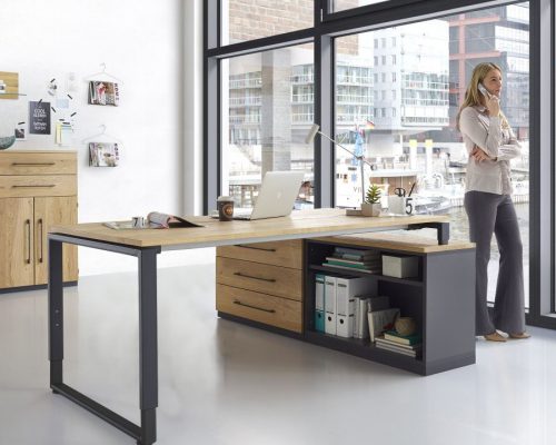 Frau steht in einem modernen Büro mit einem Holzschreibtisch, Laptop, Regalen und großen Fenstern mit Blick auf Gebäude.