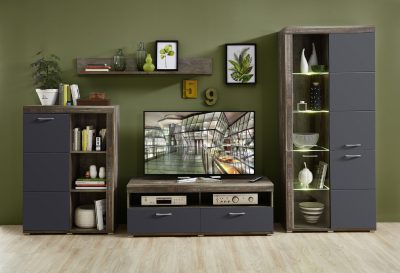 Modernes Wohnzimmer von Möbel Gruber mit der Wohnwand: dunkles Holz, Fernseher, Pflanzen, Bücher, Deko vor grüner Wand.