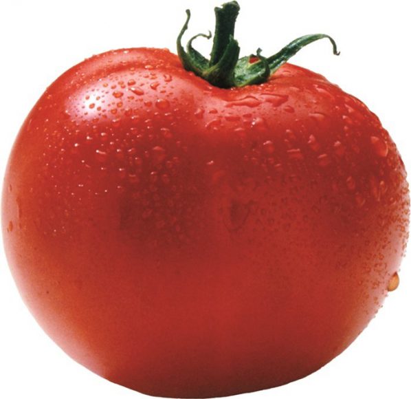 Bild von einer Tomate mit weißem Hintergrund